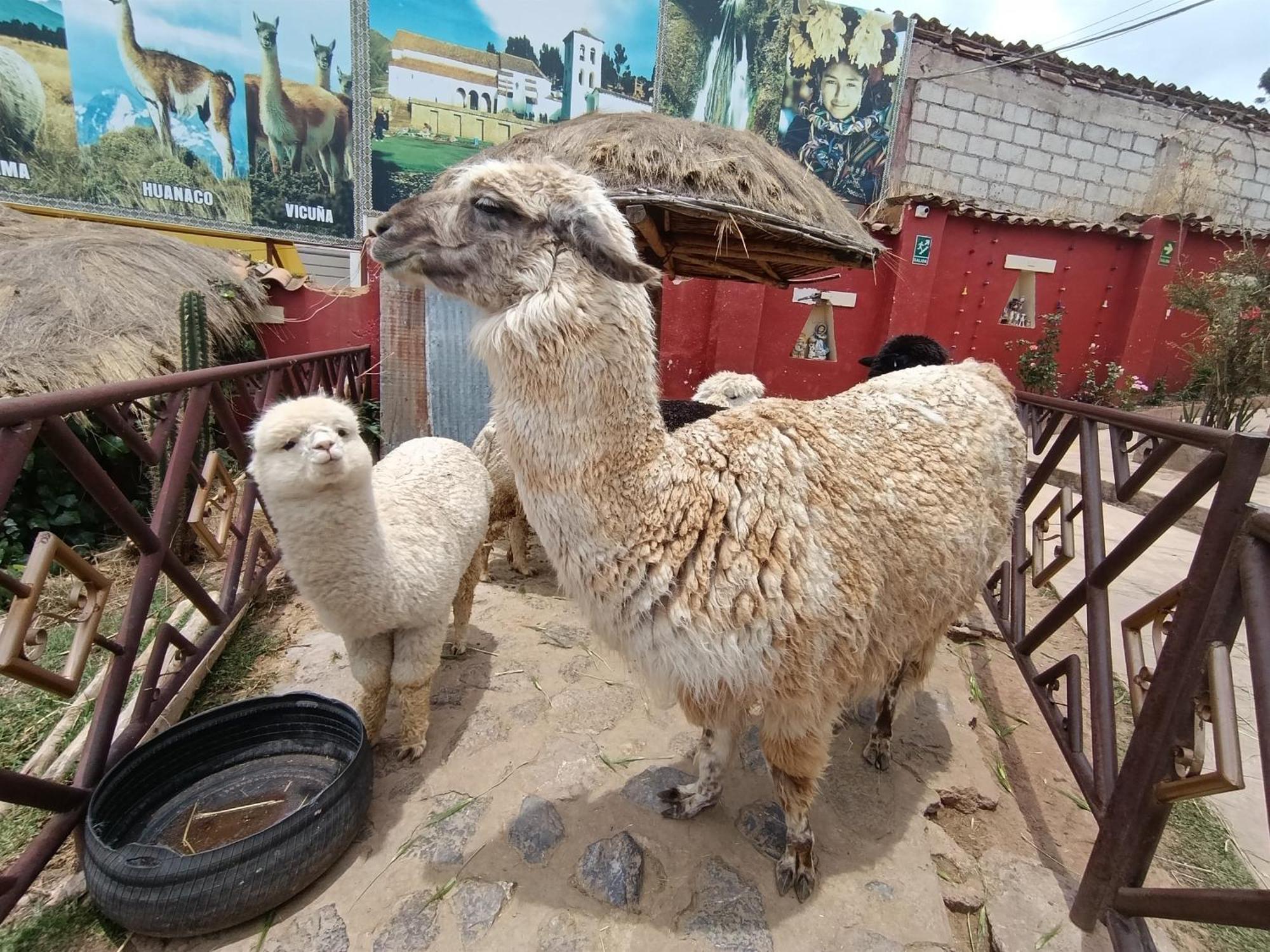 Hotel Humantay Lodge オランテイタンボ エクステリア 写真